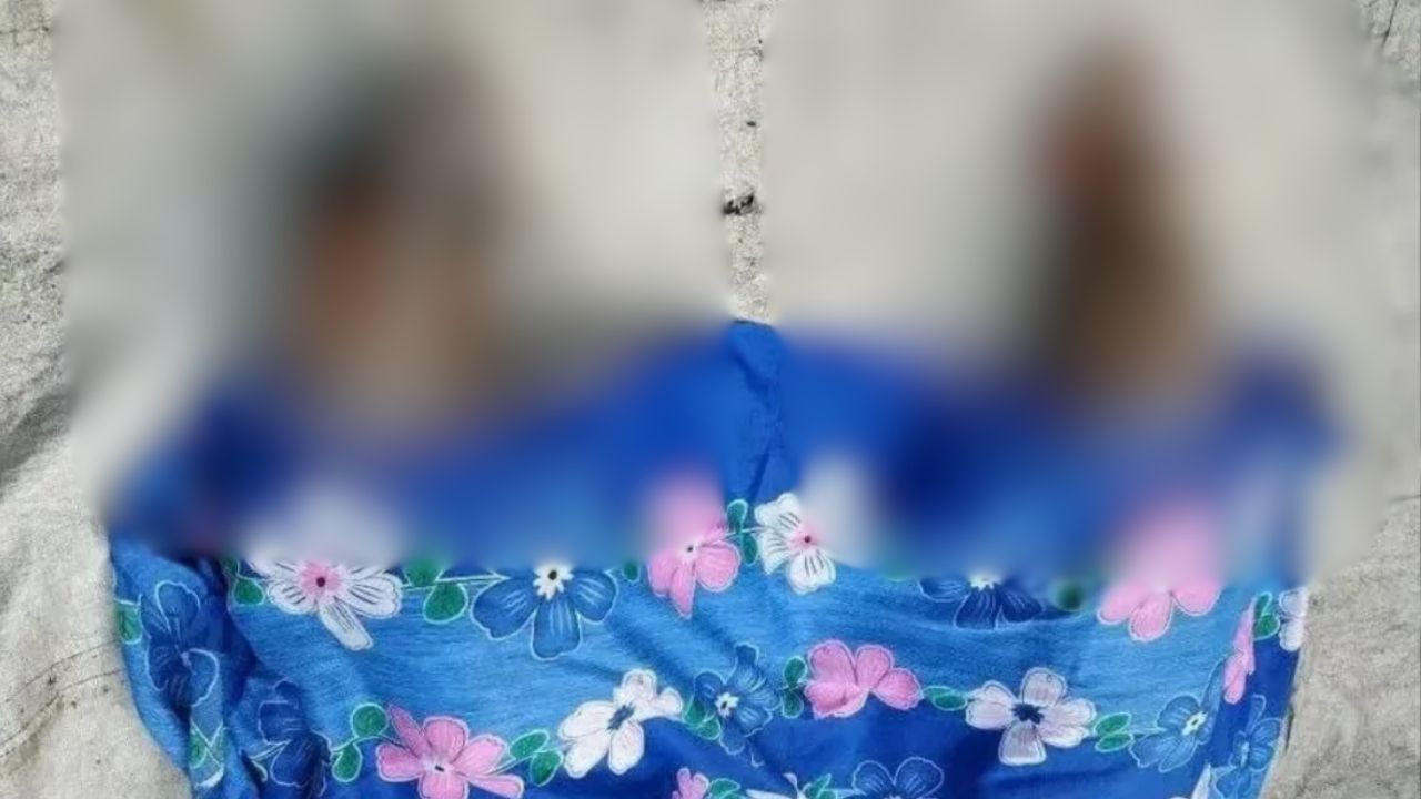 বিদ্যুৎস্পৃষ্ট বড় ভাইকে বাঁচাতে গিয়ে ছোট ভাইসহ দুইজনের মৃত্যু